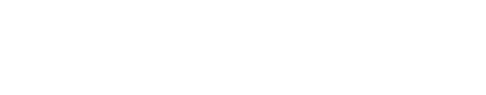 Araújo Ibarra